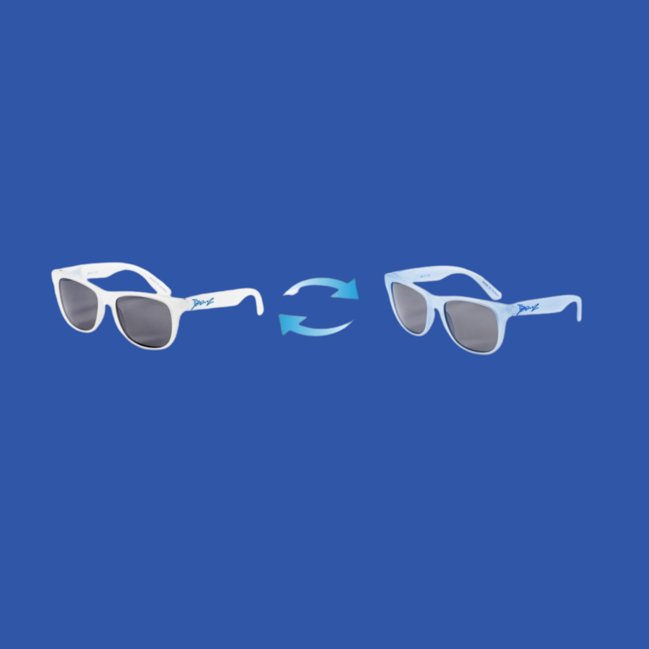 Chameleon sunglasses online