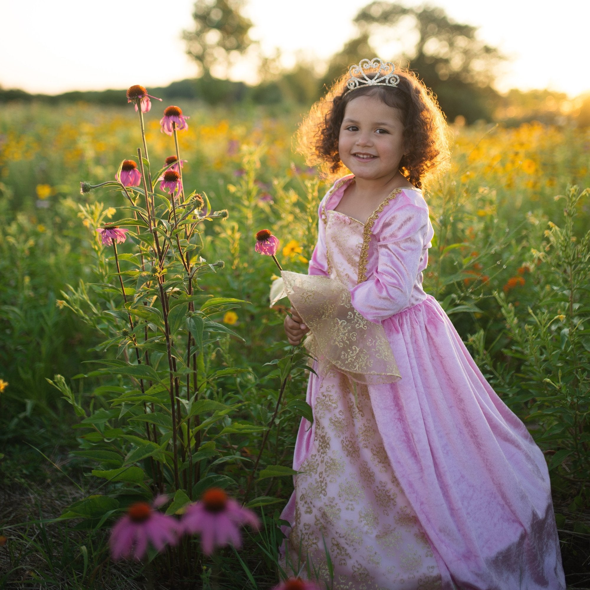Royal Princess Dress and Cape 7 8 years